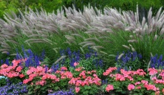 Flowers and grass highlight flower beds at Utah State